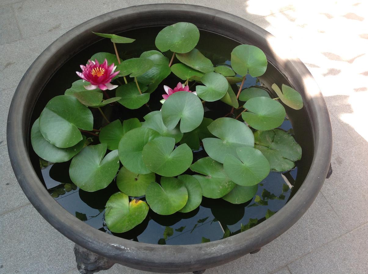 בייג'ינג Zhantan Courtyard Hotel מראה חיצוני תמונה
